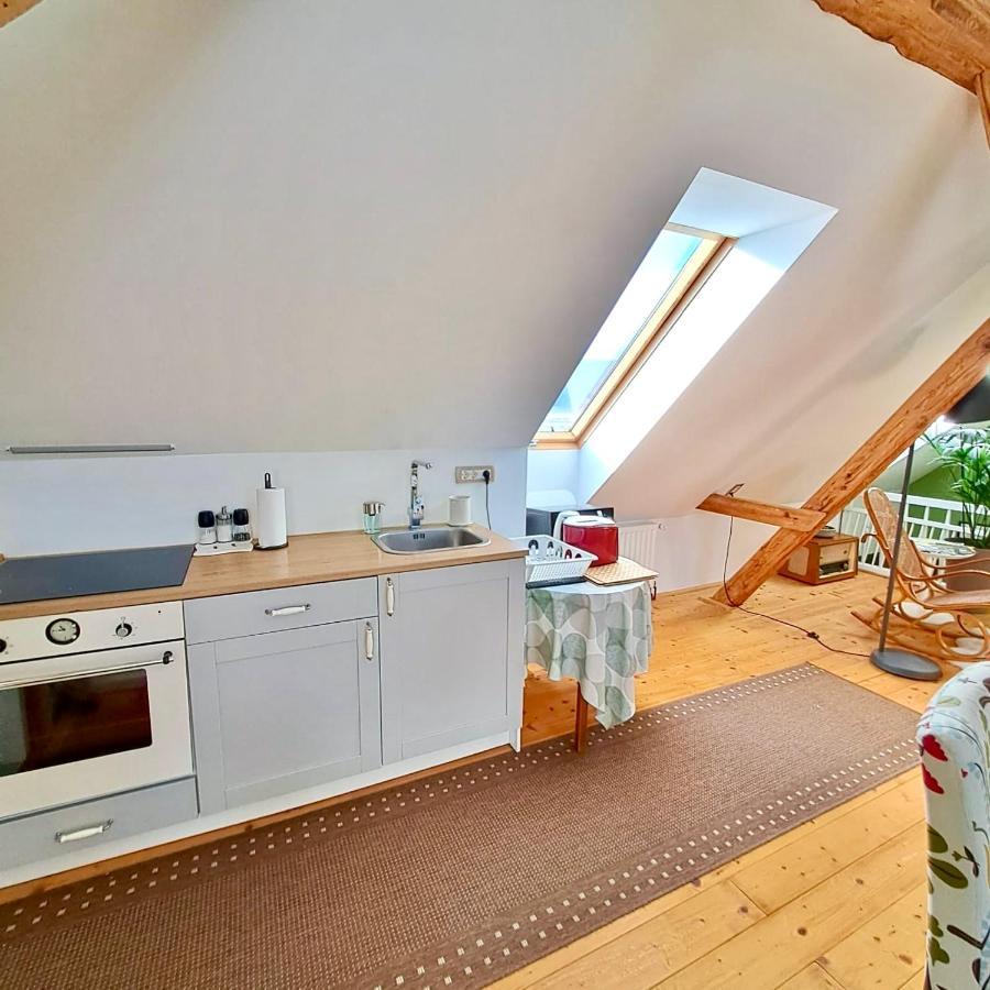 Entire Loft Close To Beautiful Logar Valley Accommodatie bij particulieren Recica ob Savinji